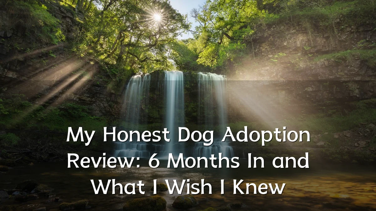 My Honest Dog Adoption Review: 6 Months In and What I Wish I Knew