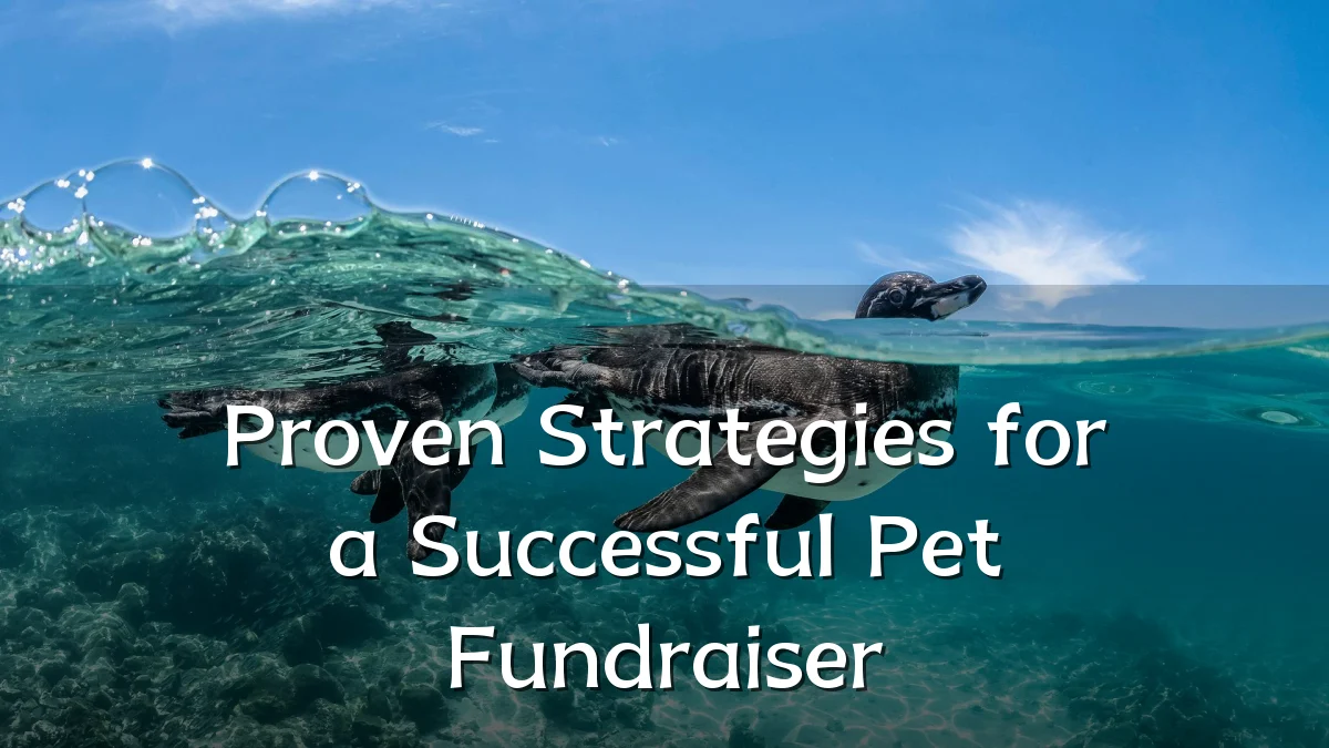 Proven Strategies for a Successful Pet Fundraiser