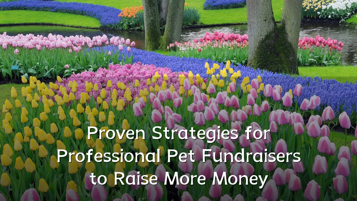 Proven Strategies for Professional Pet Fundraisers to Raise More Money