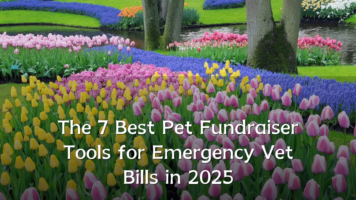The 7 Best Pet Fundraiser Tools for Emergency Vet Bills in 2025