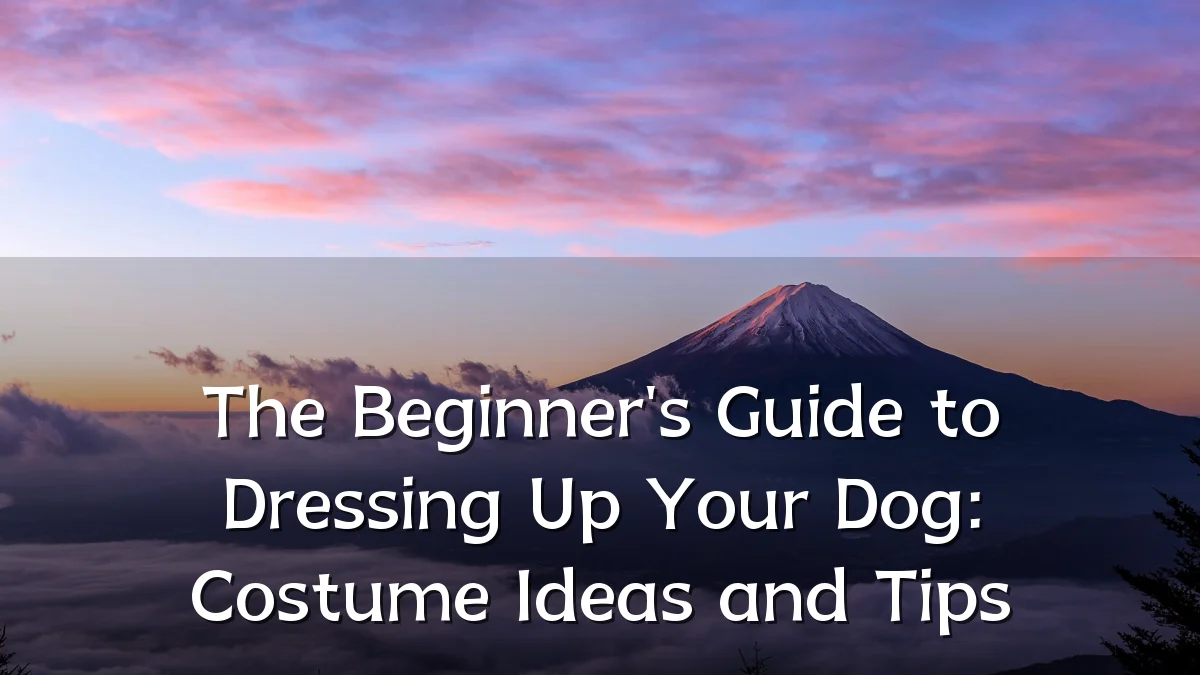 The Beginner's Guide to Dressing Up Your Dog: Costume Ideas and Tips