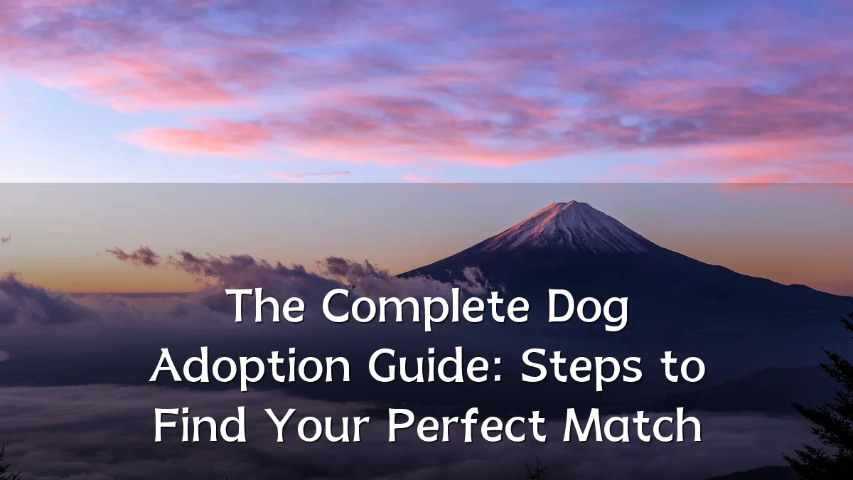 The Complete Dog Adoption Guide: Steps to Find Your Perfect Match