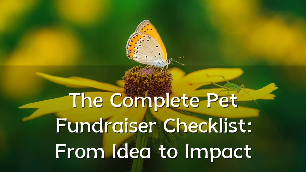 The Complete Pet Fundraiser Checklist: From Idea to Impact