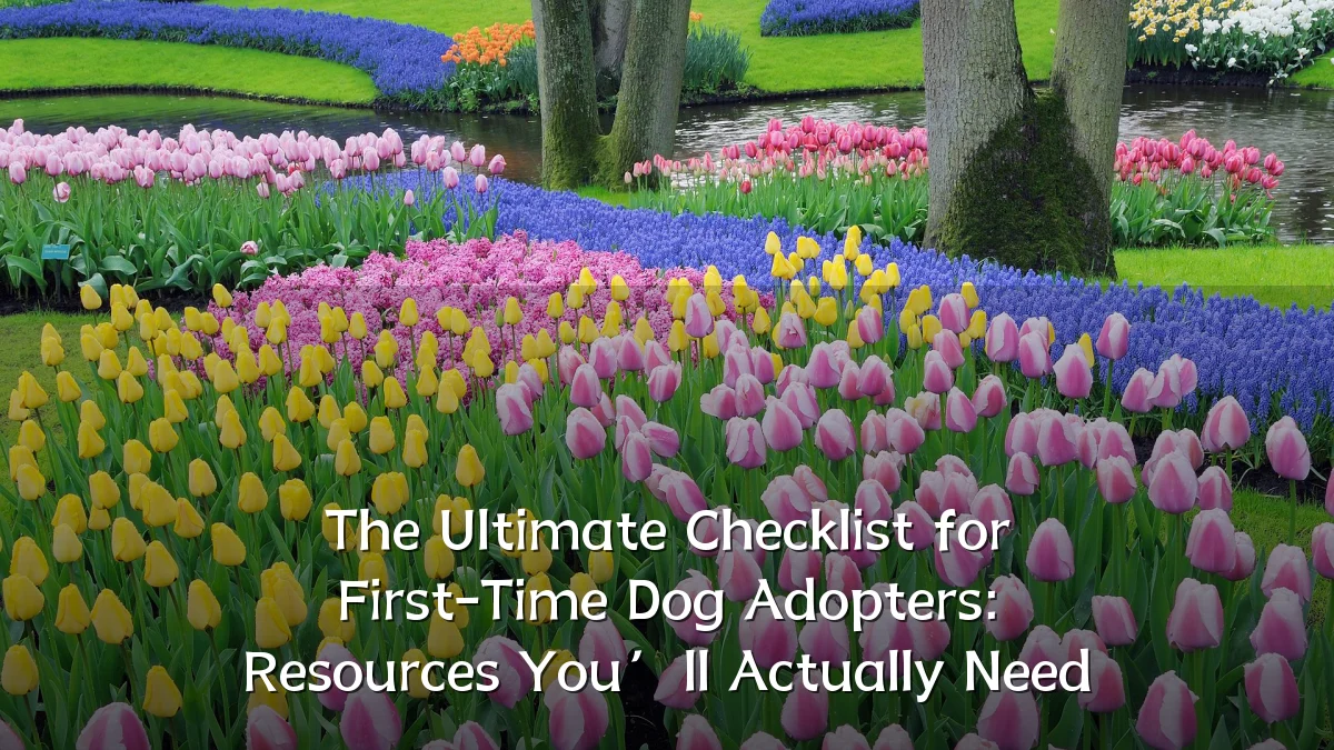 The Ultimate Checklist for First-Time Dog Adopters: Resources You’ll Actually Need