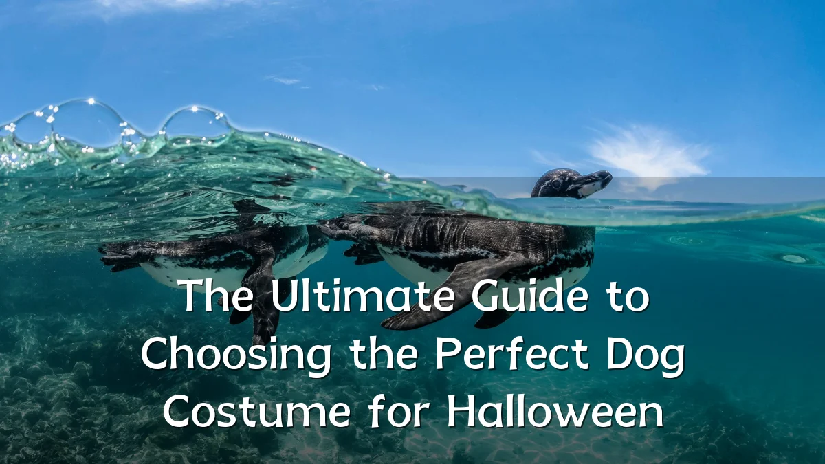 The Ultimate Guide to Choosing the Perfect Dog Costume for Halloween