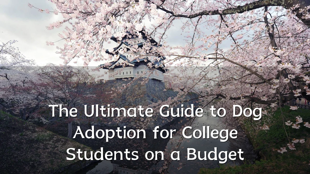 The Ultimate Guide to Dog Adoption for College Students on a Budget