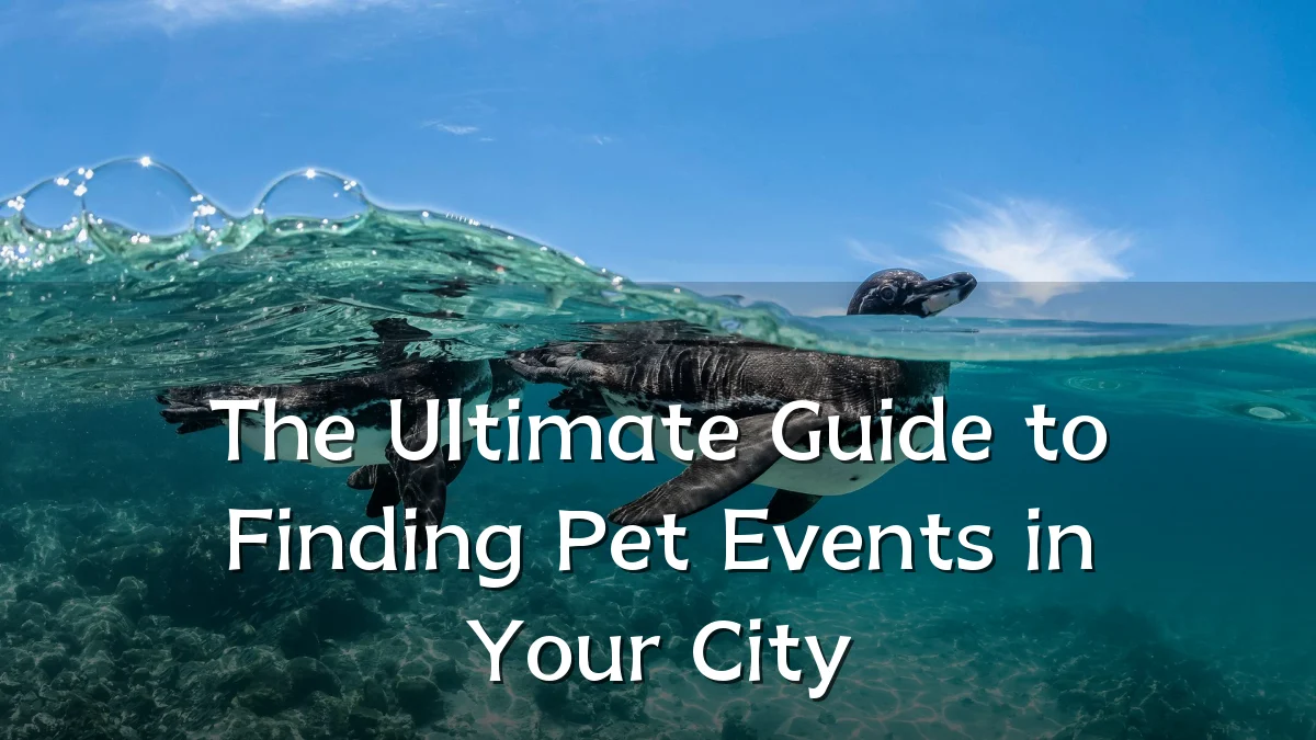 The Ultimate Guide to Finding Pet Events in Your City