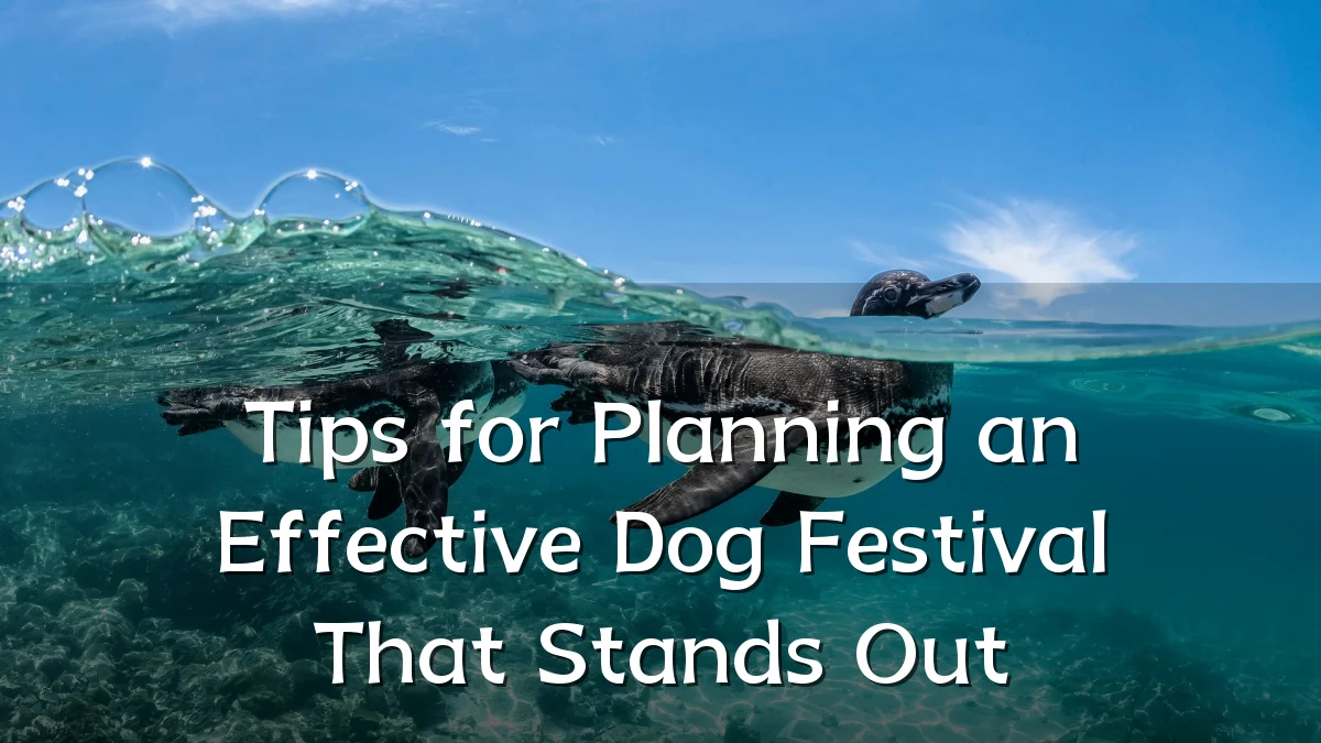 Tips for Planning an Effective Dog Festival That Stands Out