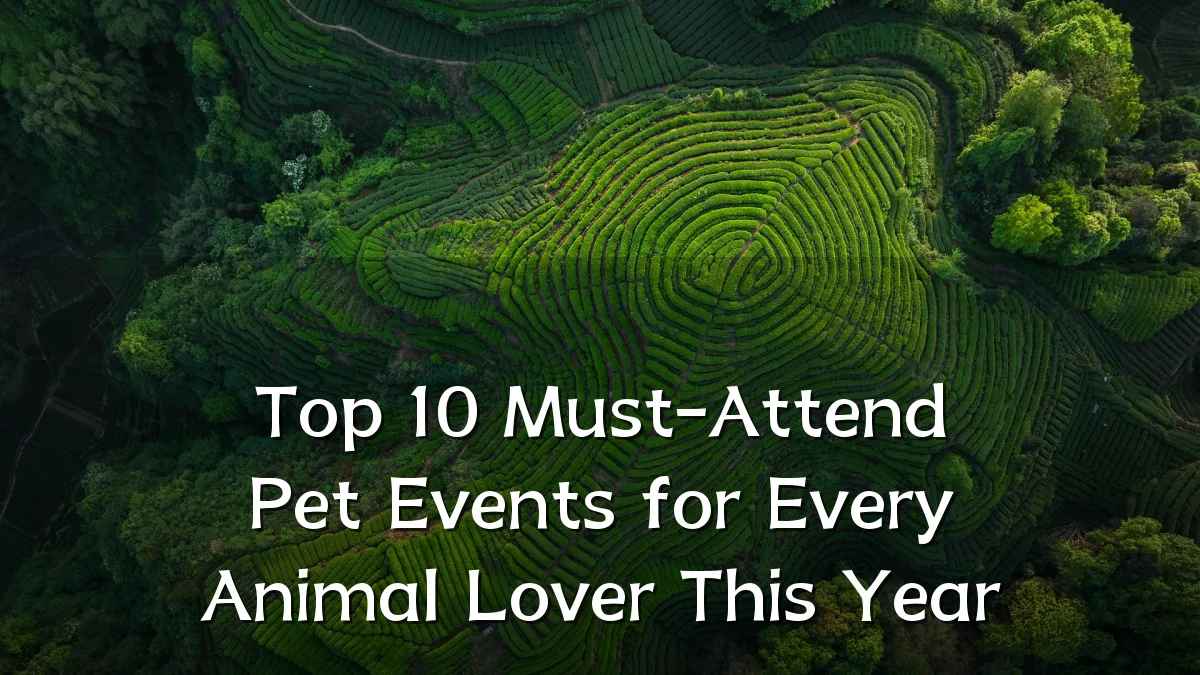 Top 10 Must-Attend Pet Events for Every Animal Lover This Year