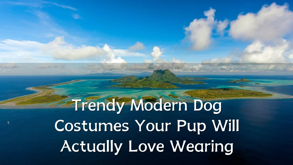 Trendy Modern Dog Costumes Your Pup Will Actually Love Wearing
