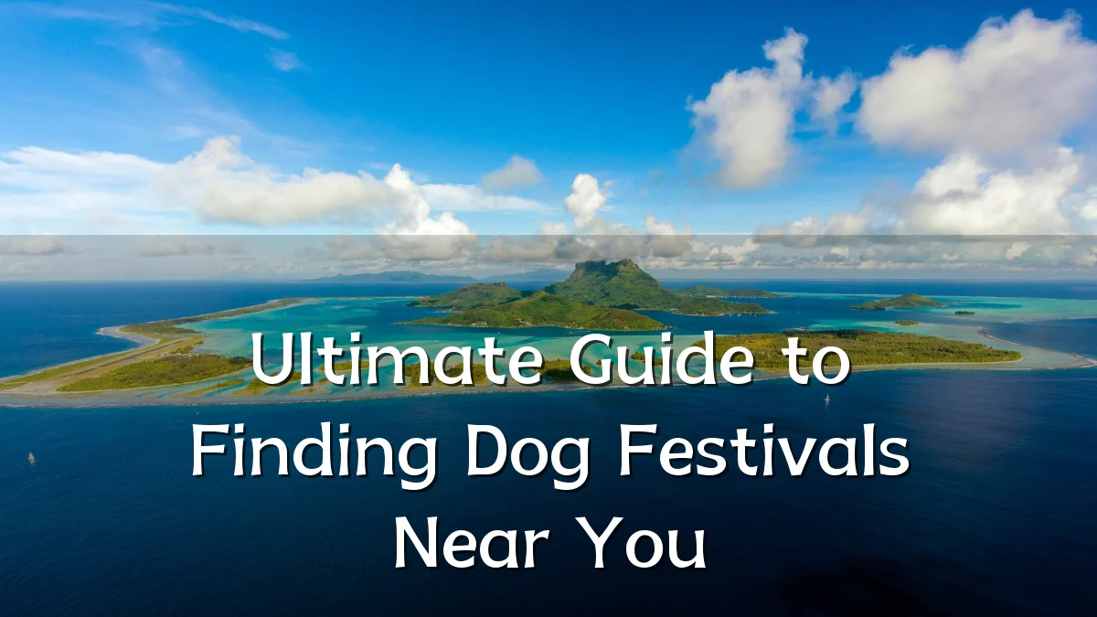 Ultimate Guide to Finding Dog Festivals Near You