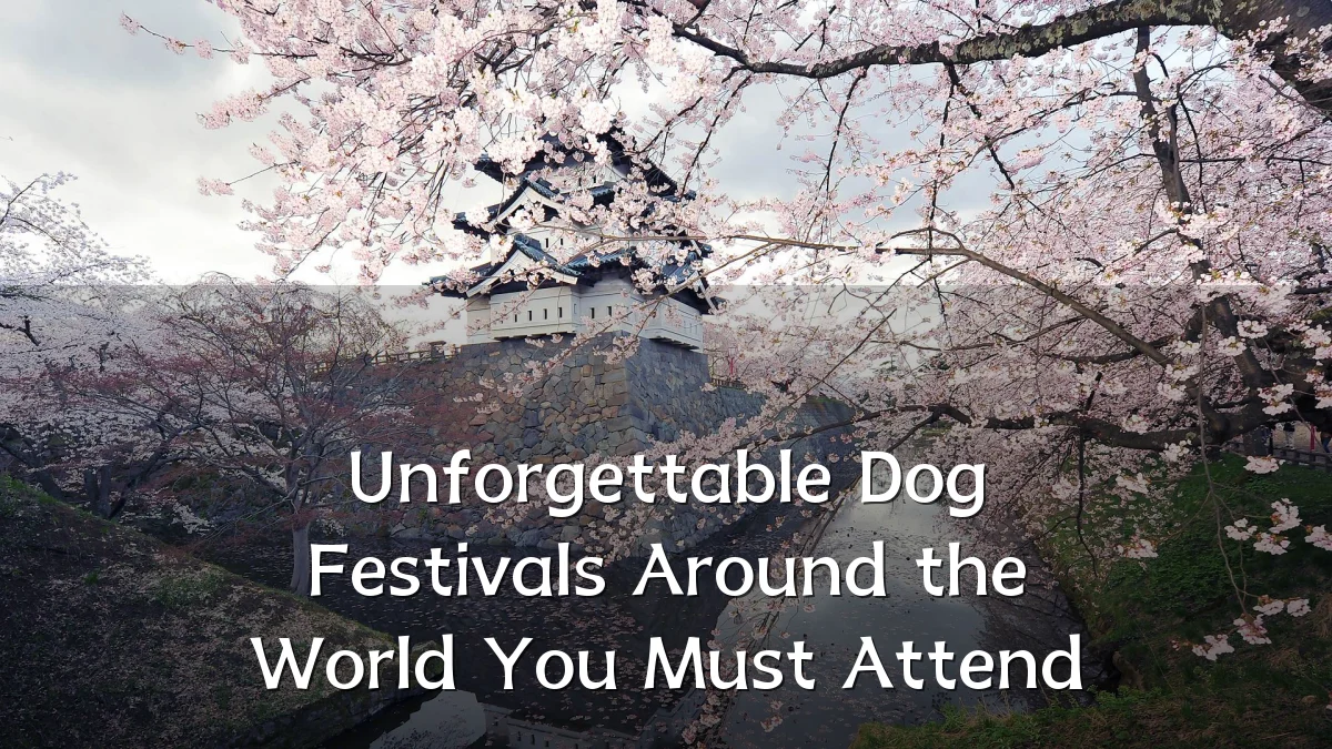 Unforgettable Dog Festivals Around the World You Must Attend