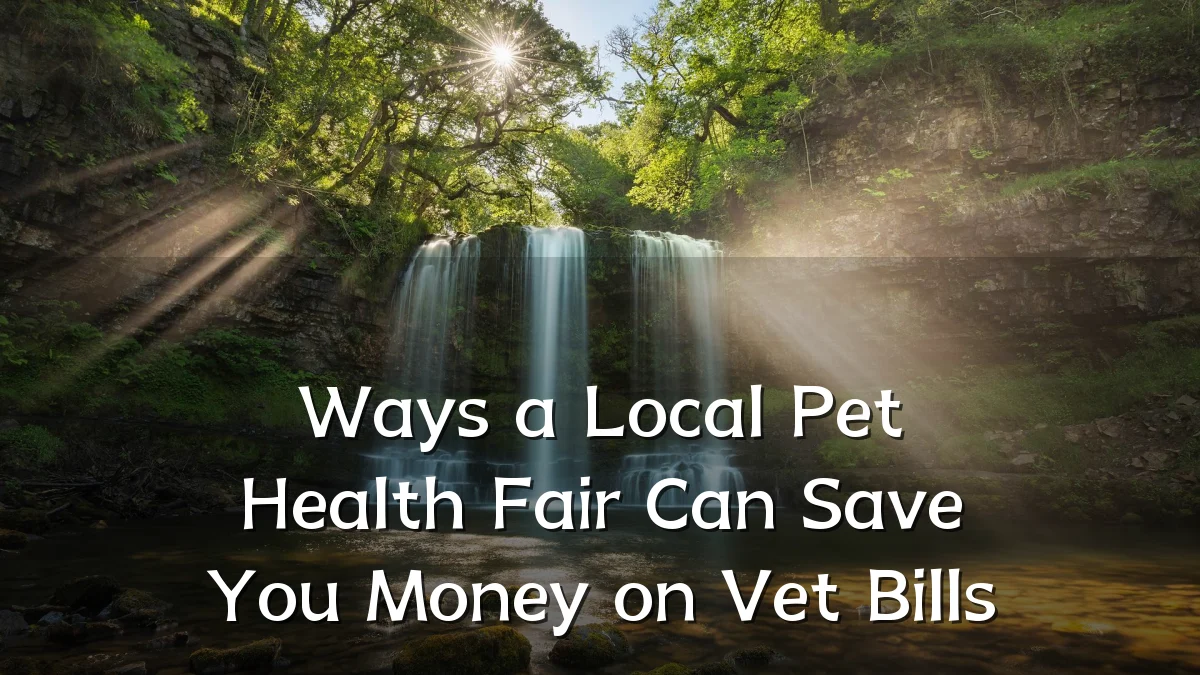 Ways a Local Pet Health Fair Can Save You Money on Vet Bills