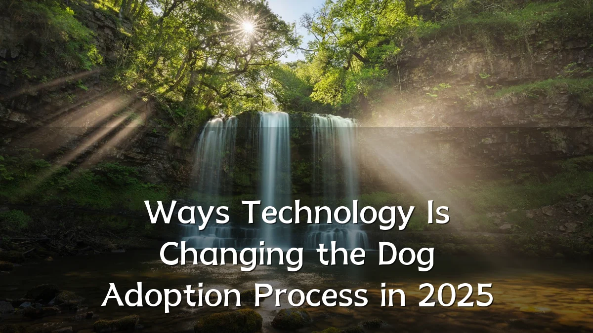 Ways Technology Is Changing the Dog Adoption Process in 2025