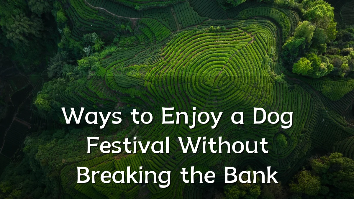 Ways to Enjoy a Dog Festival Without Breaking the Bank