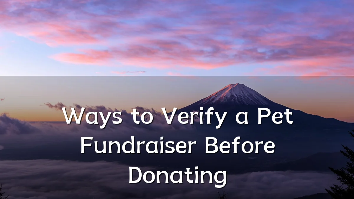 Ways to Verify a Pet Fundraiser Before Donating