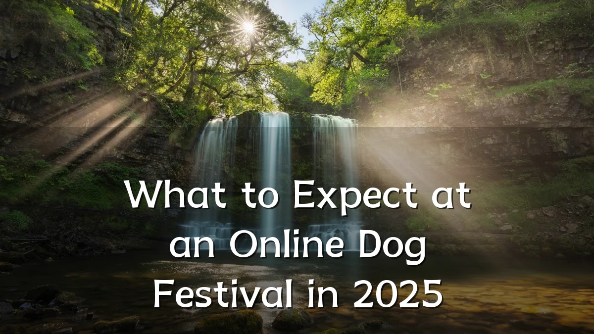 What to Expect at an Online Dog Festival in 2025