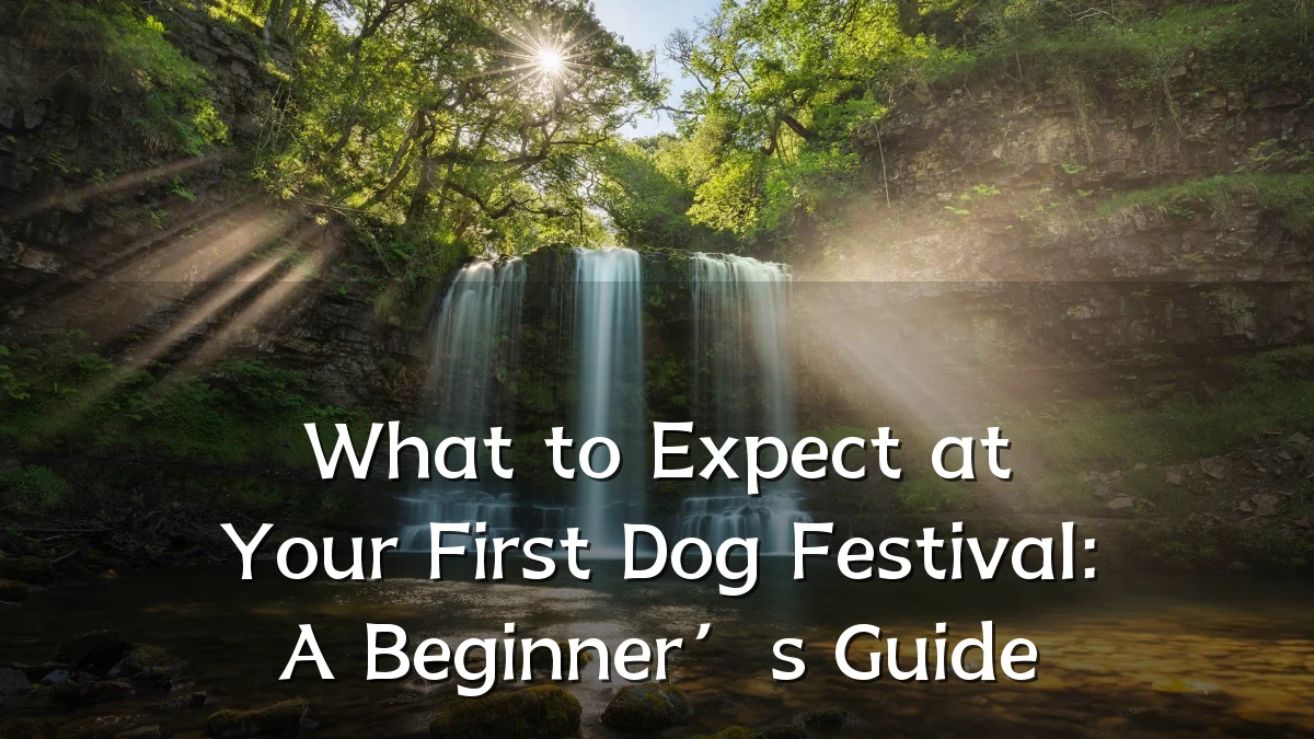 What to Expect at Your First Dog Festival: A Beginner’s Guide