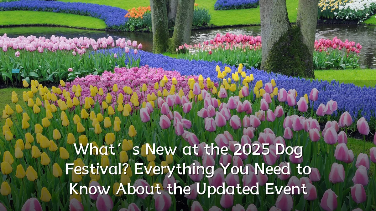 What’s New at the 2025 Dog Festival? Everything You Need to Know About the Updated Event