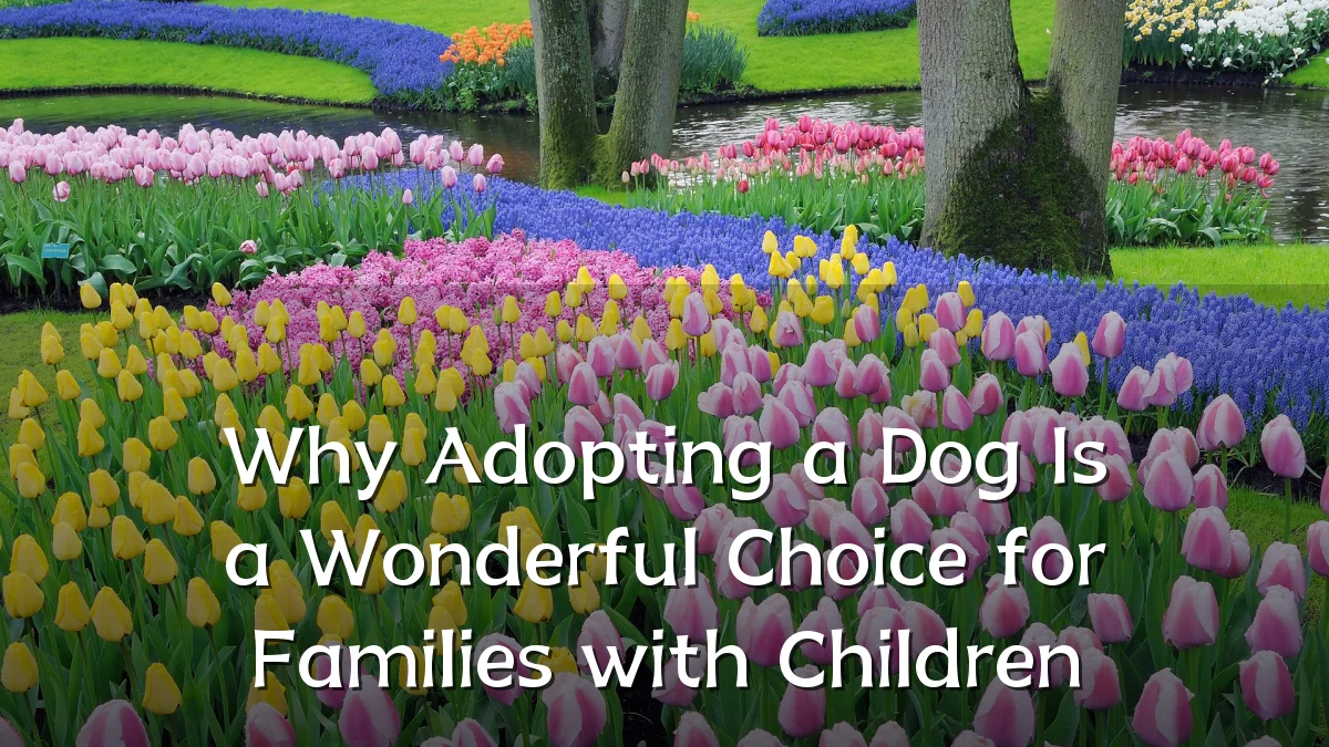 Why Adopting a Dog Is a Wonderful Choice for Families with Children