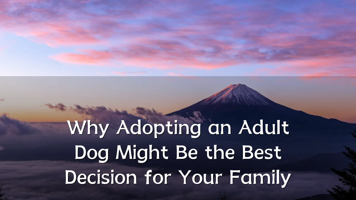 Why Adopting an Adult Dog Might Be the Best Decision for Your Family