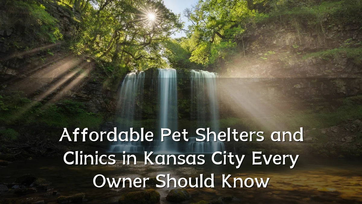 Affordable Pet Shelters and Clinics in Kansas City Every Owner Should Know