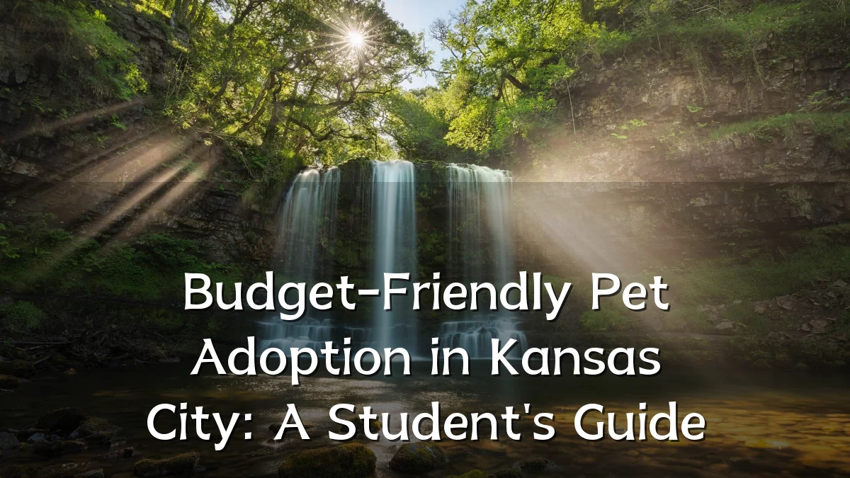 Budget-Friendly Pet Adoption in Kansas City: A Student's Guide