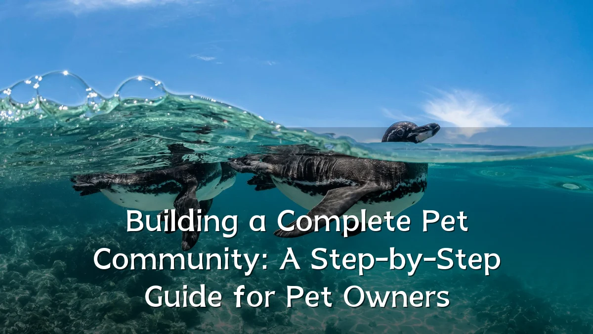 Building a Complete Pet Community: A Step-by-Step Guide for Pet Owners