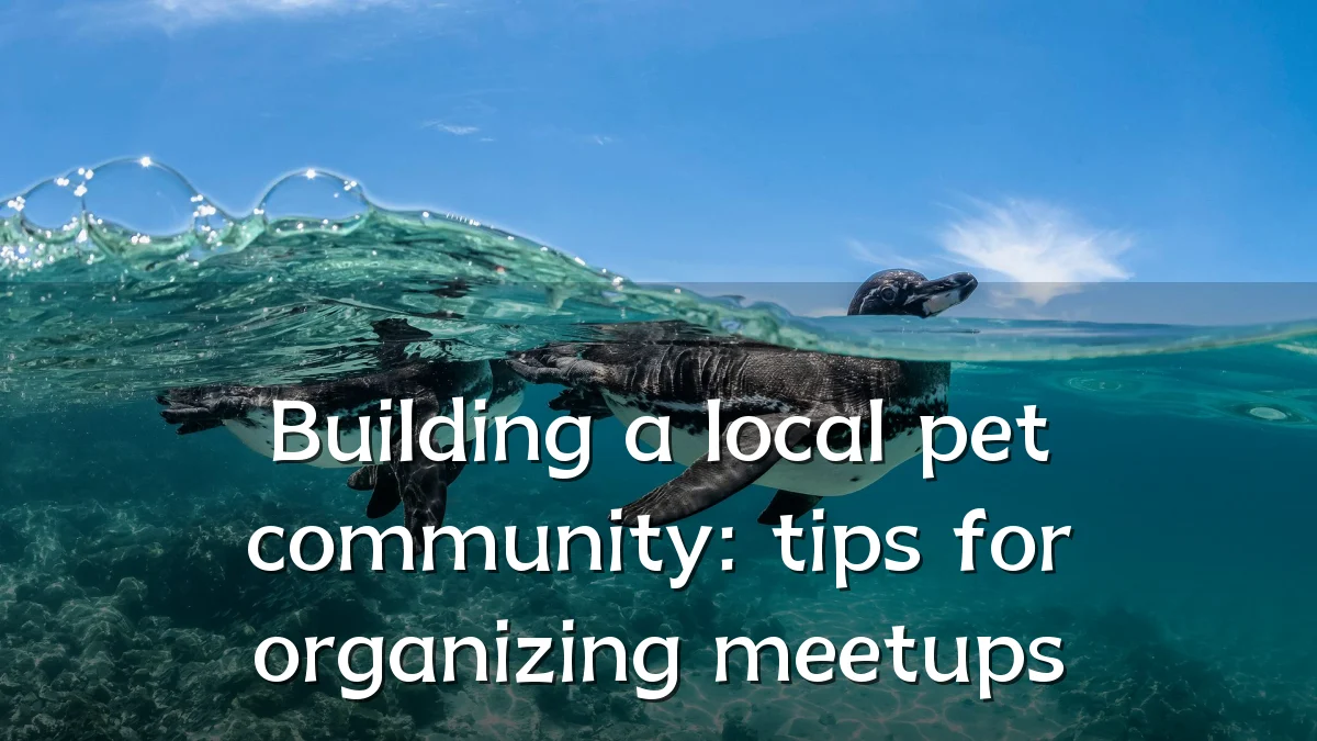 Building a local pet community: tips for organizing meetups