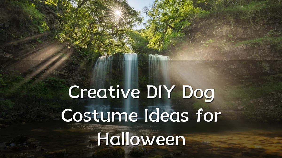 Creative DIY Dog Costume Ideas for Halloween