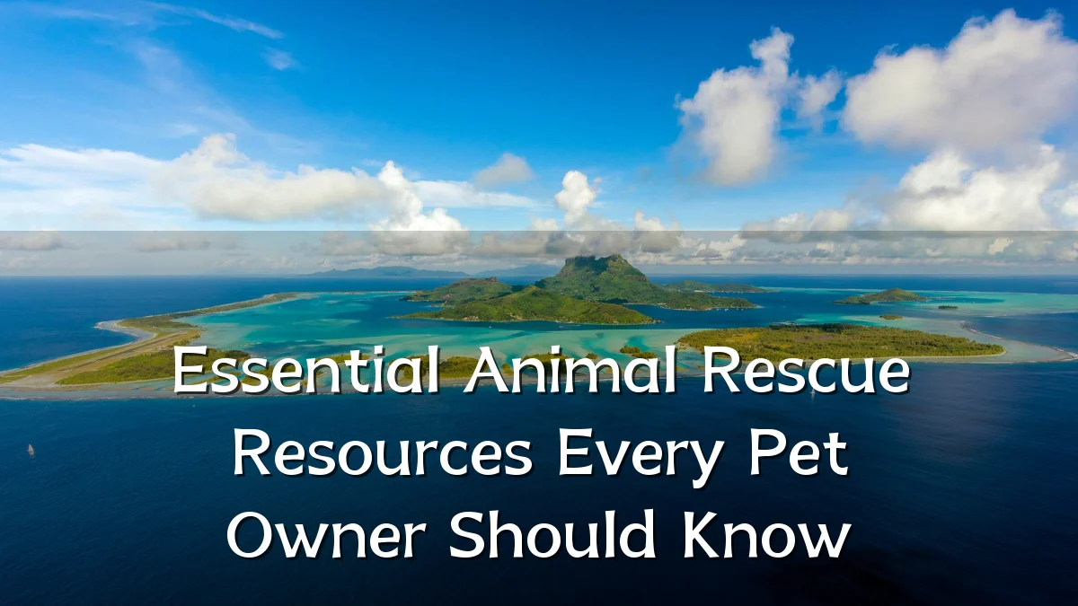 Essential Animal Rescue Resources Every Pet Owner Should Know