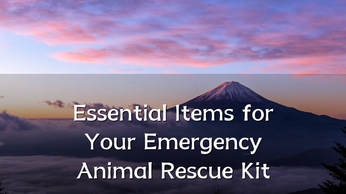Essential Items for Your Emergency Animal Rescue Kit