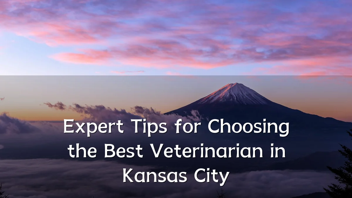 Expert Tips for Choosing the Best Veterinarian in Kansas City