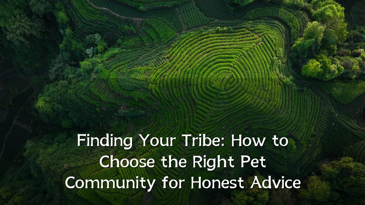 Finding Your Tribe: How to Choose the Right Pet Community for Honest Advice