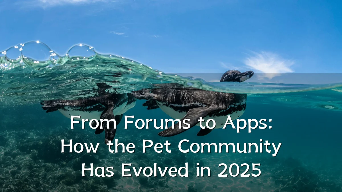 From Forums to Apps: How the Pet Community Has Evolved in 2025