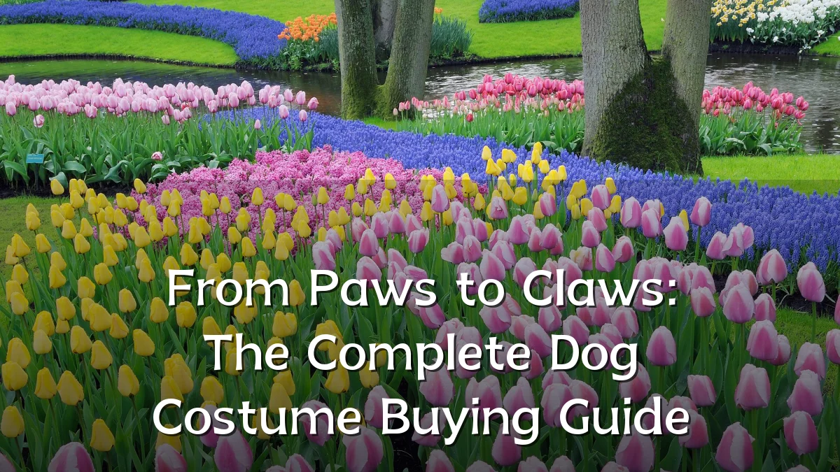 From Paws to Claws: The Complete Dog Costume Buying Guide