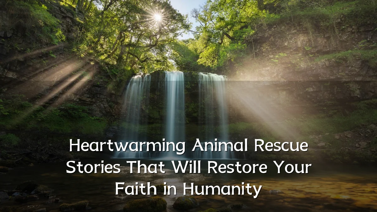 Heartwarming Animal Rescue Stories That Will Restore Your Faith in Humanity