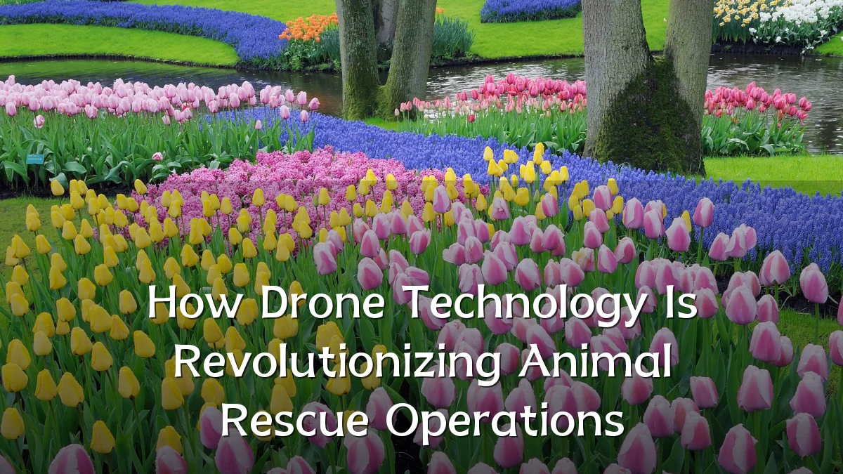 How Drone Technology Is Revolutionizing Animal Rescue Operations