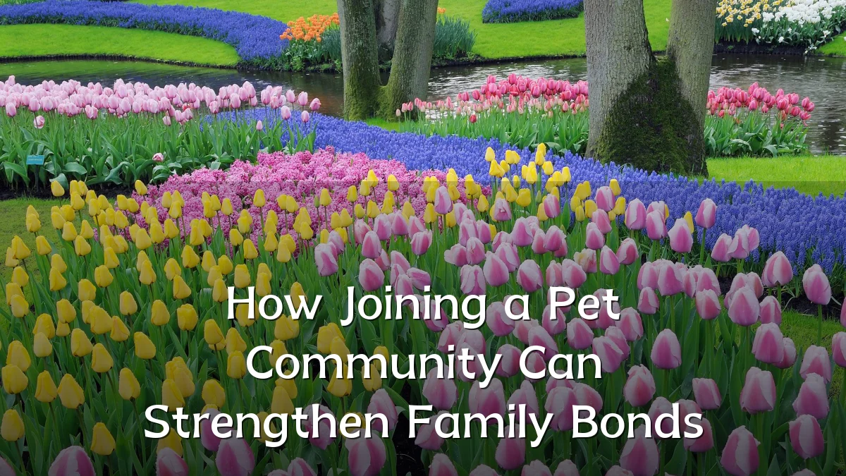 How Joining a Pet Community Can Strengthen Family Bonds