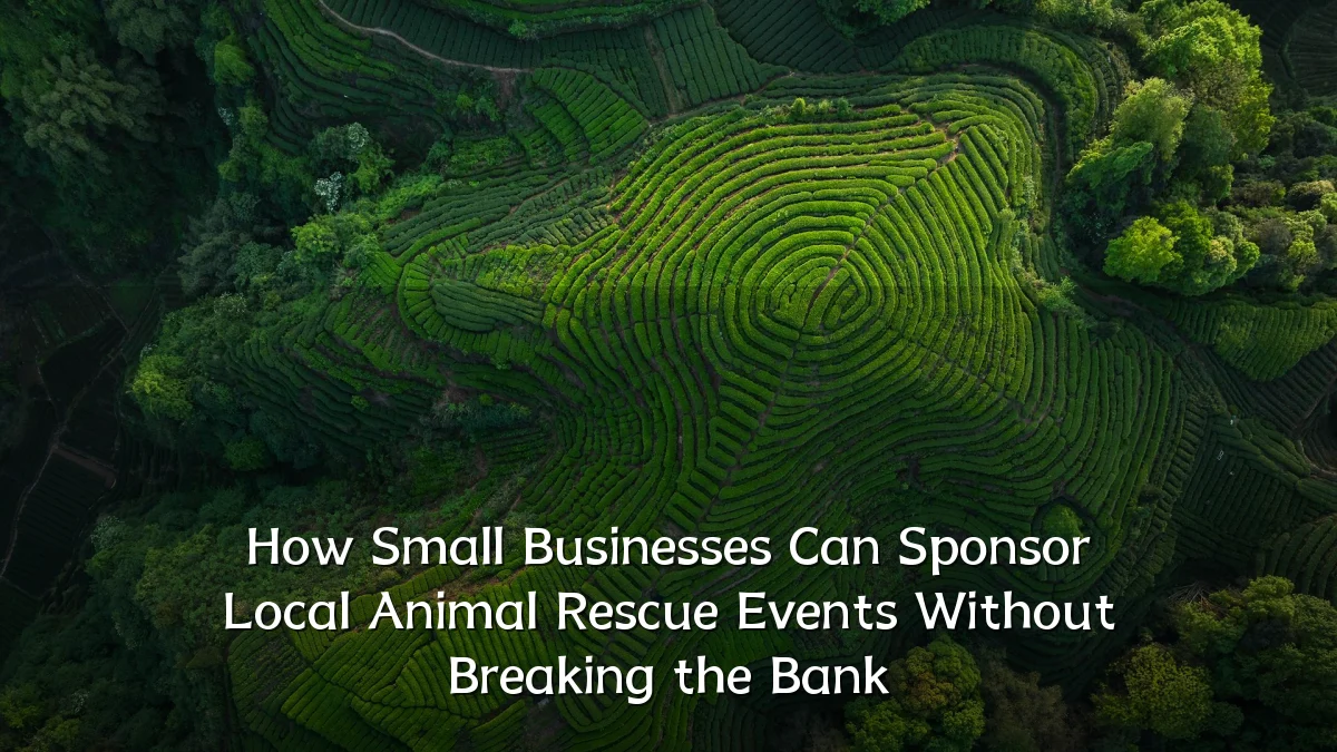 How Small Businesses Can Sponsor Local Animal Rescue Events Without Breaking the Bank