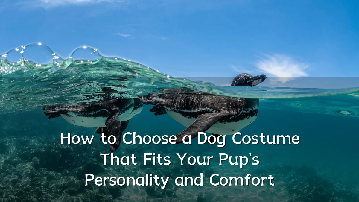 How to Choose a Dog Costume That Fits Your Pup's Personality and Comfort