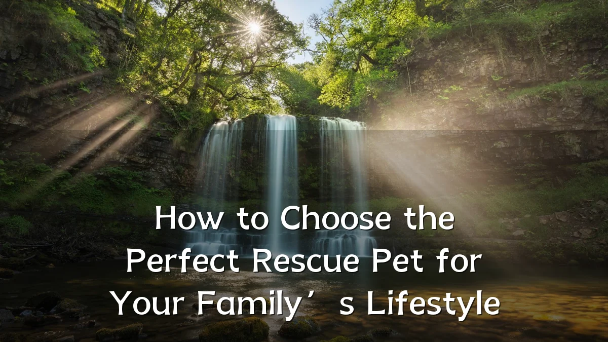 How to Choose the Perfect Rescue Pet for Your Family’s Lifestyle