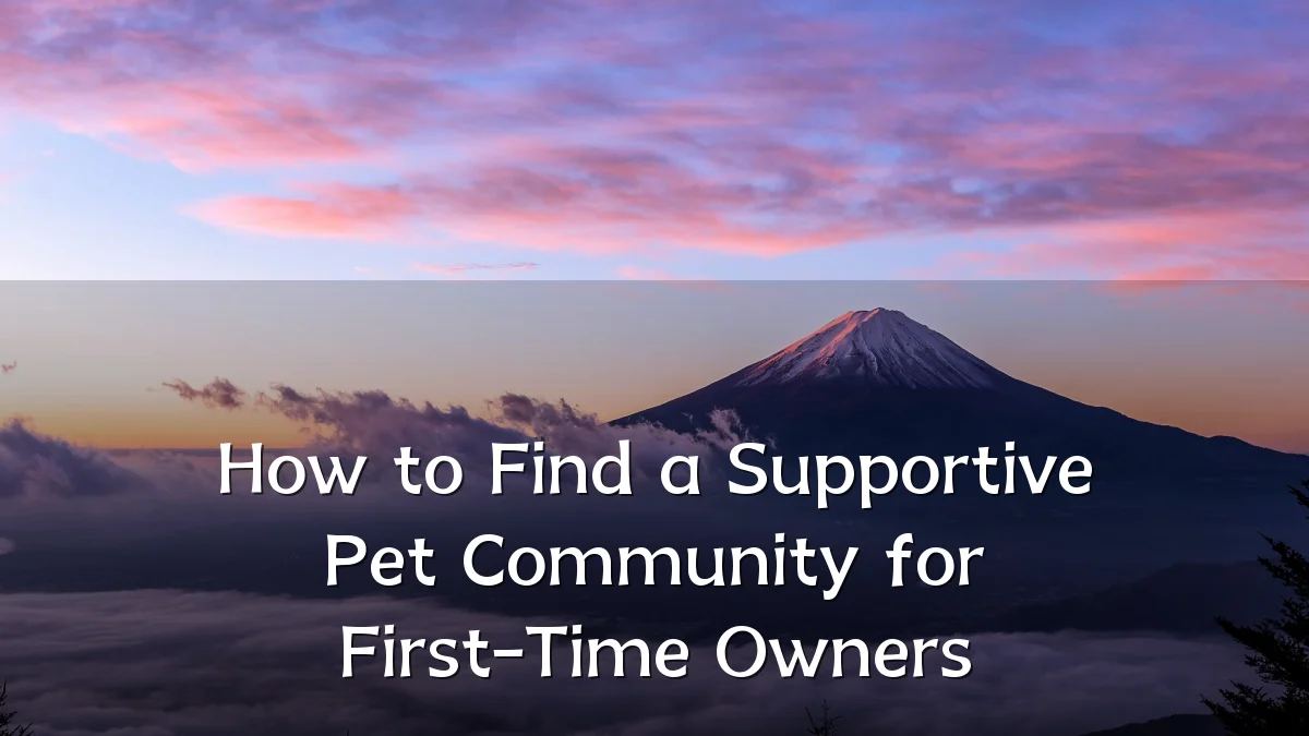 How to Find a Supportive Pet Community for First-Time Owners