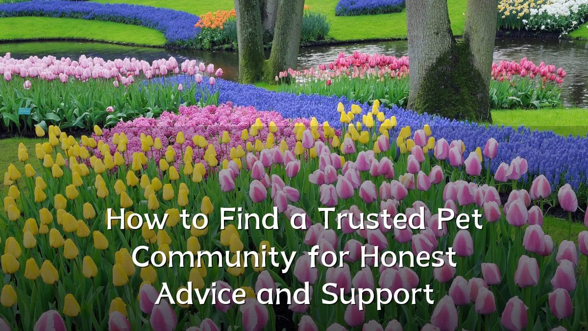 How to Find a Trusted Pet Community for Honest Advice and Support