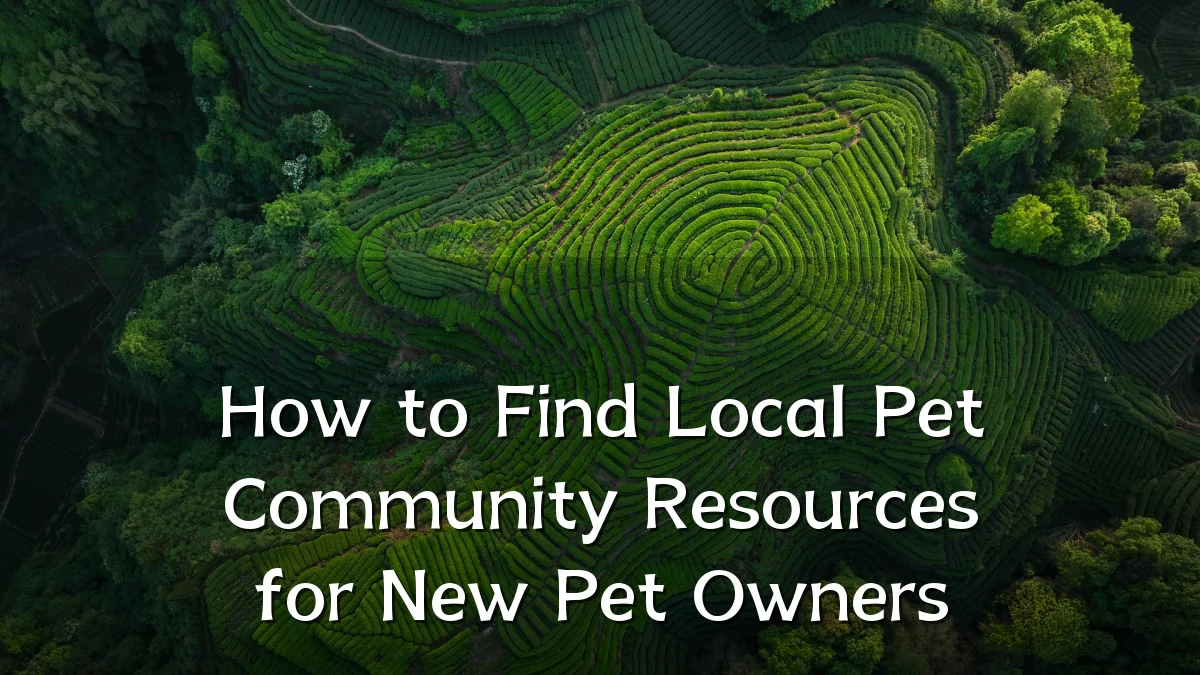 How to Find Local Pet Community Resources for New Pet Owners