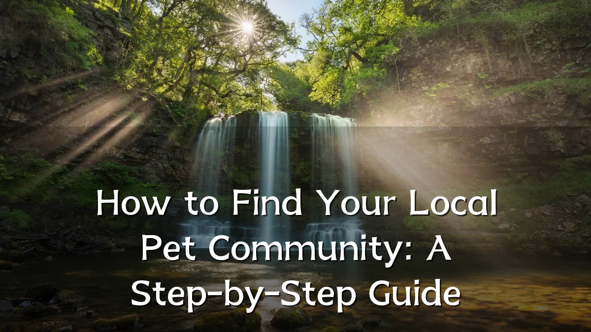How to Find Your Local Pet Community: A Step-by-Step Guide