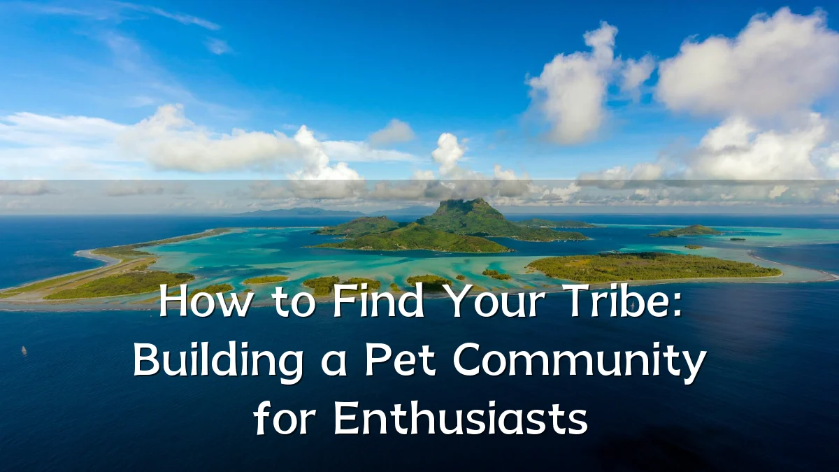 How to Find Your Tribe: Building a Pet Community for Enthusiasts