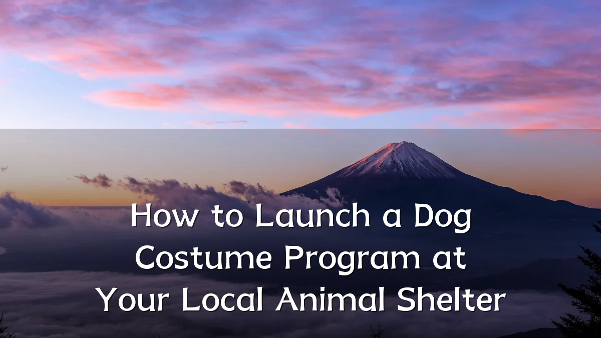 How to Launch a Dog Costume Program at Your Local Animal Shelter