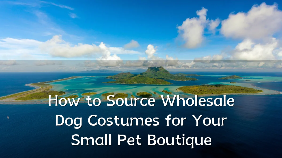 How to Source Wholesale Dog Costumes for Your Small Pet Boutique