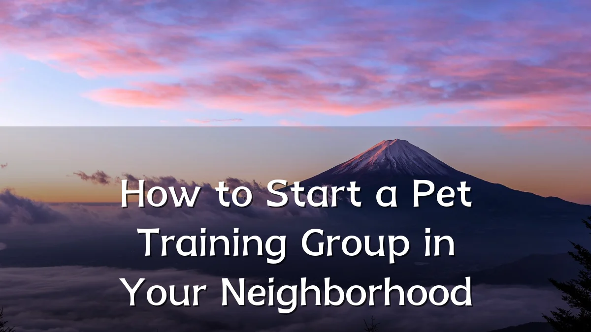 How to Start a Pet Training Group in Your Neighborhood